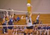 Anthony’s steady defense reaches 500 digs
